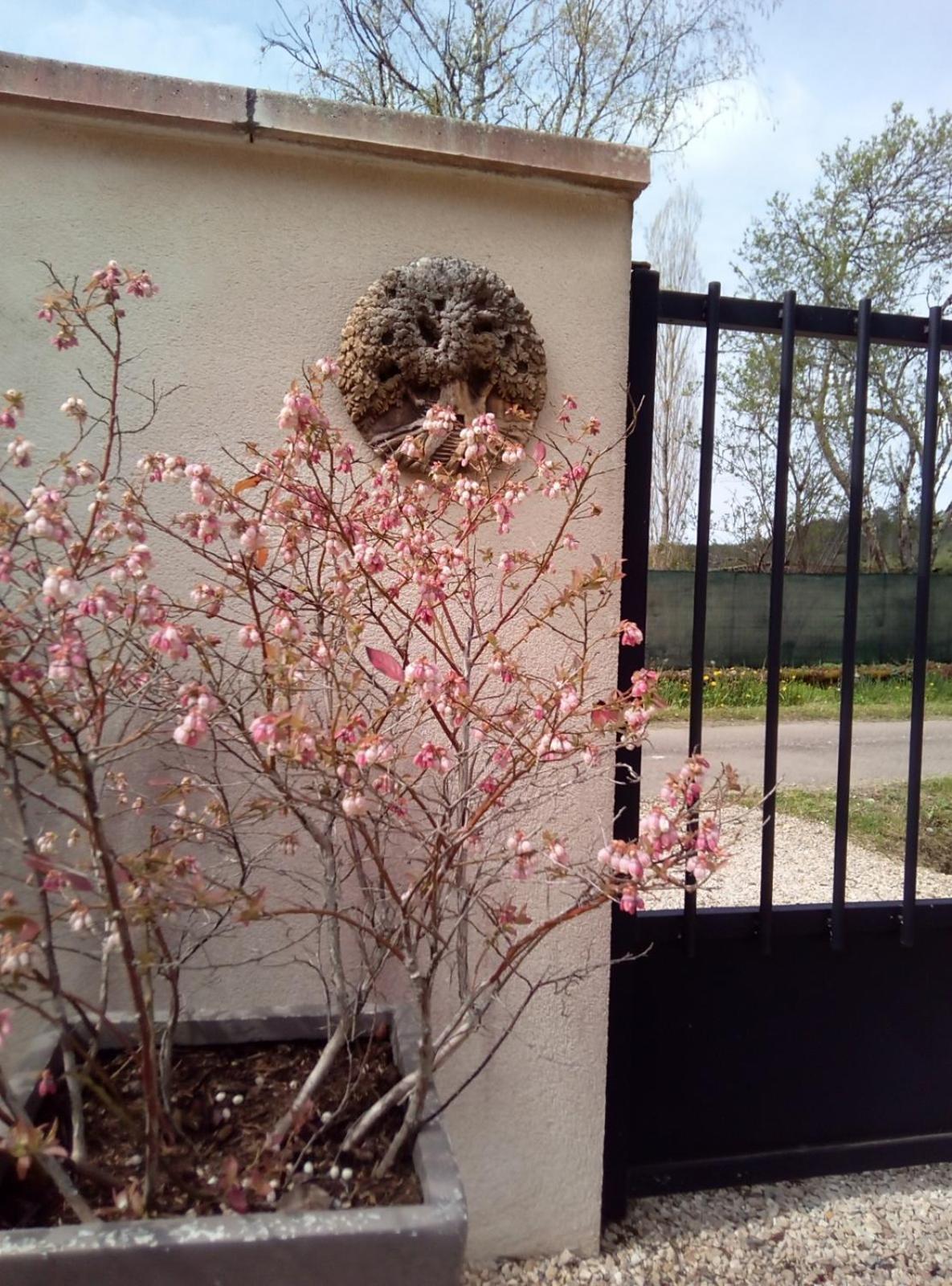 Bed and Breakfast Le Repos Coquelicot Montillot Exterior foto